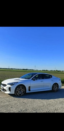 Kia Stinger cena 256000 przebieg: 15500, rok produkcji 2022 z Miłomłyn małe 172